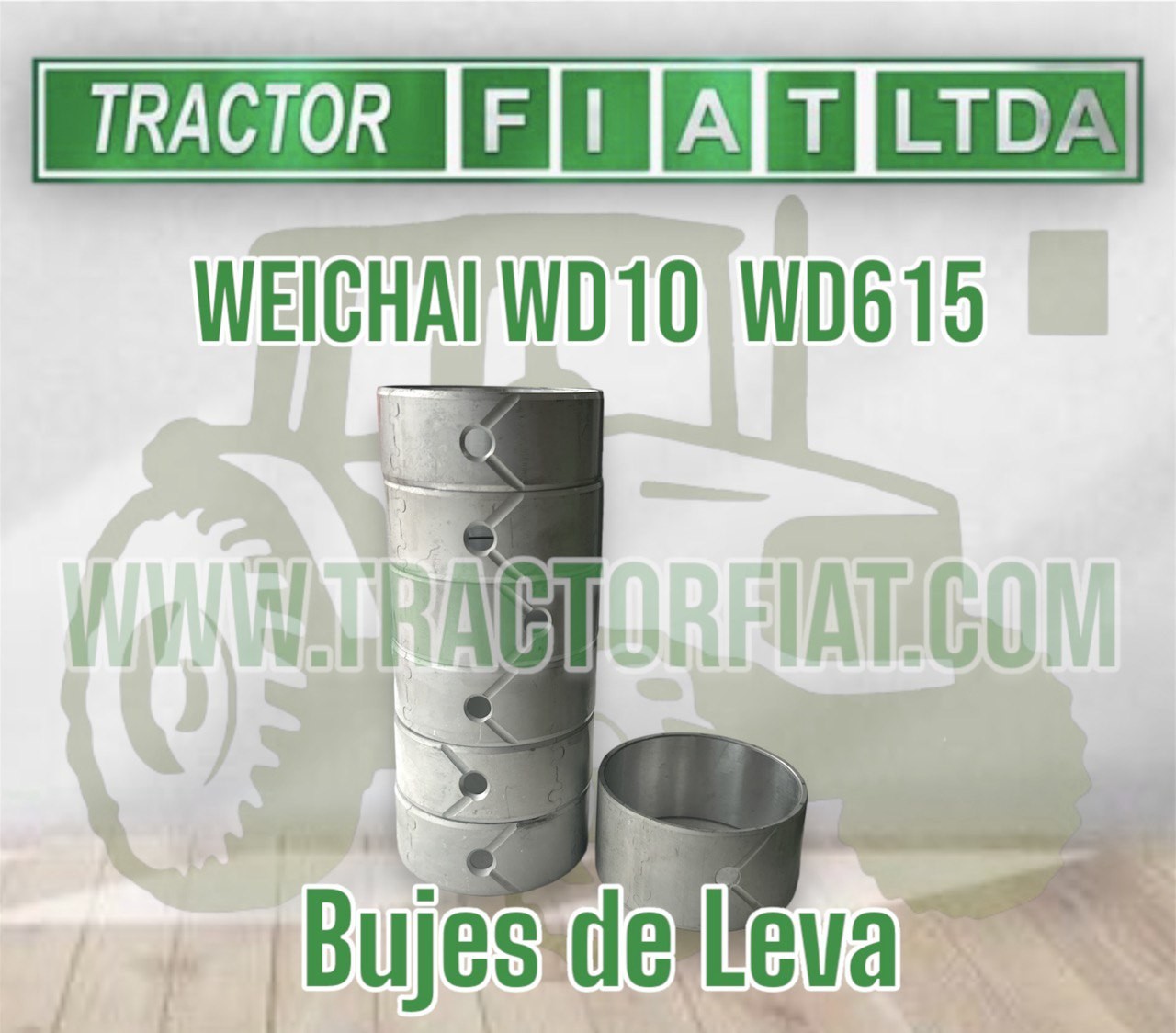 BUJE DE ARBOL DE LEVAS (6) - MOTOR WEICHAI WD10