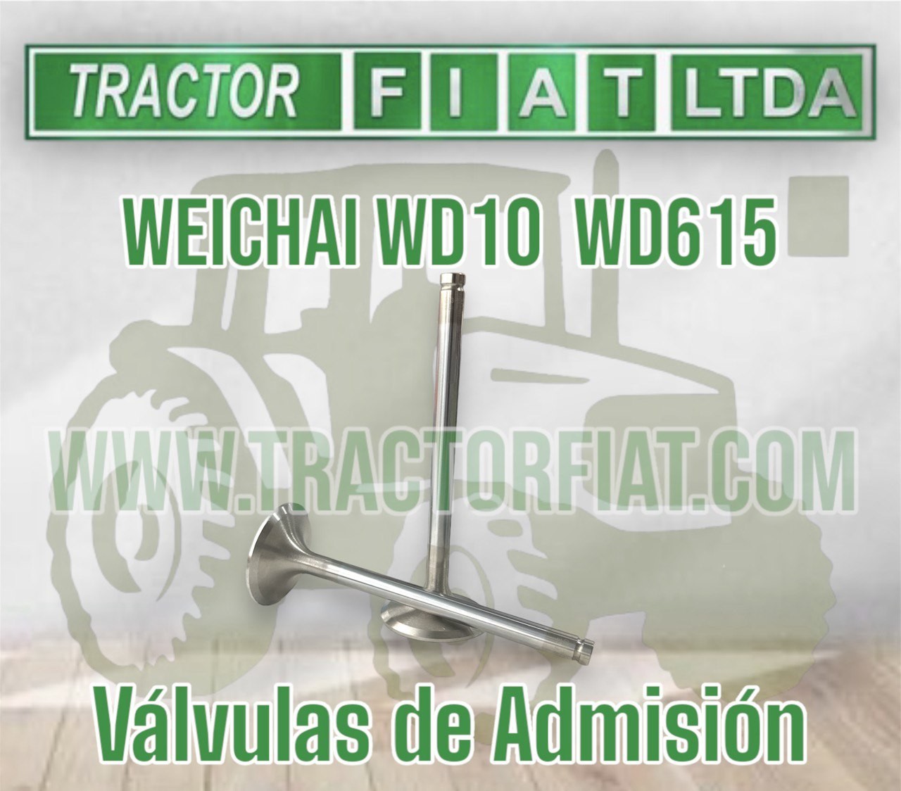 VALVULA DE ADMISION - MOTOR WEICHAI WD10