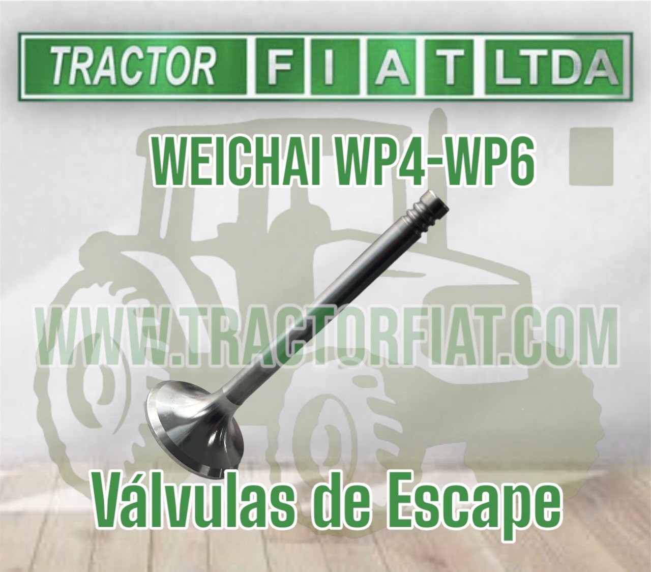 VALVULA DE ESCAPE - MOTOR WEICHAI WP4 WP6 TD226B