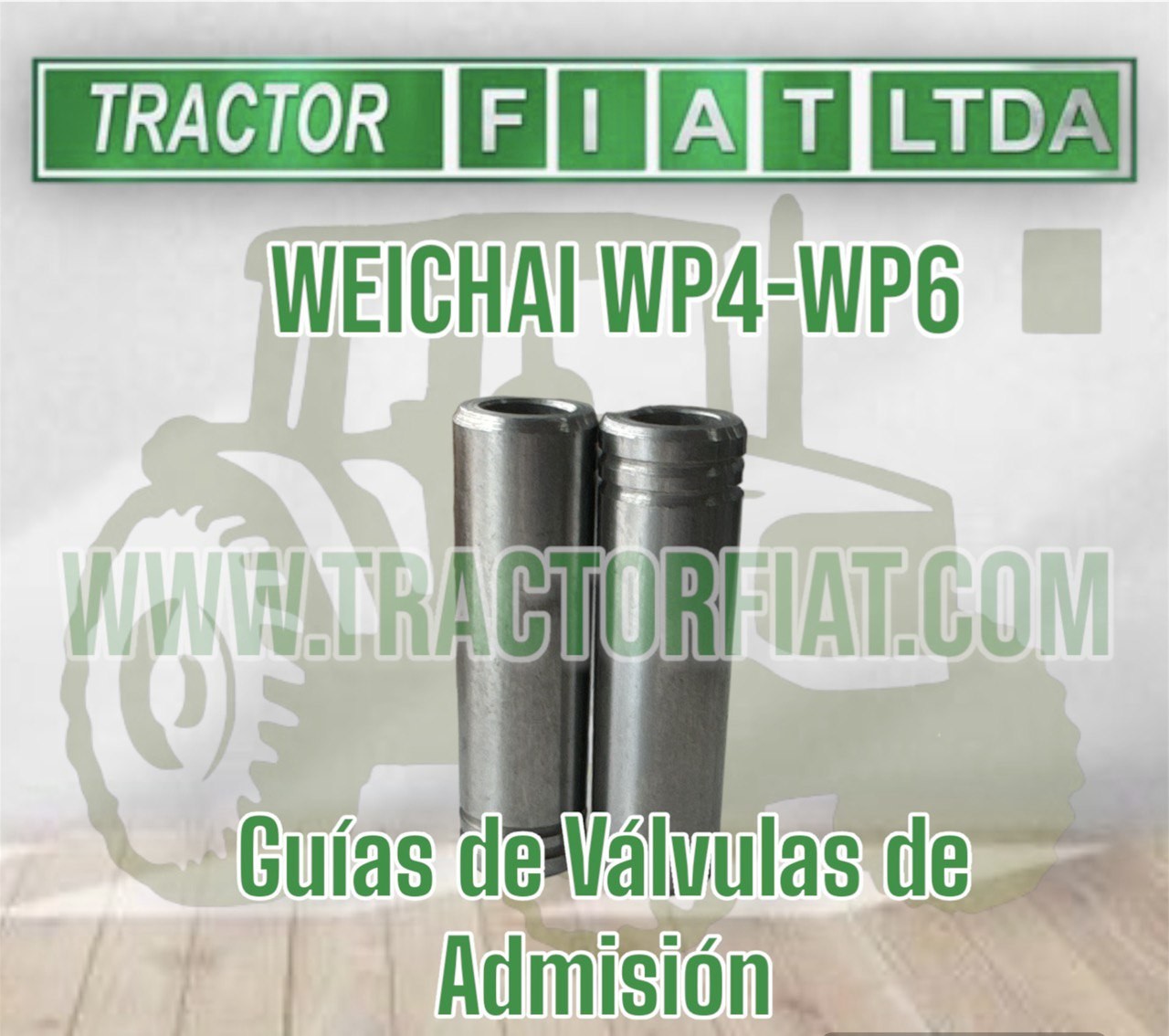 GUIAS DE ADMISION - MOTOR WEICHAI WP4 WP6 TD226B