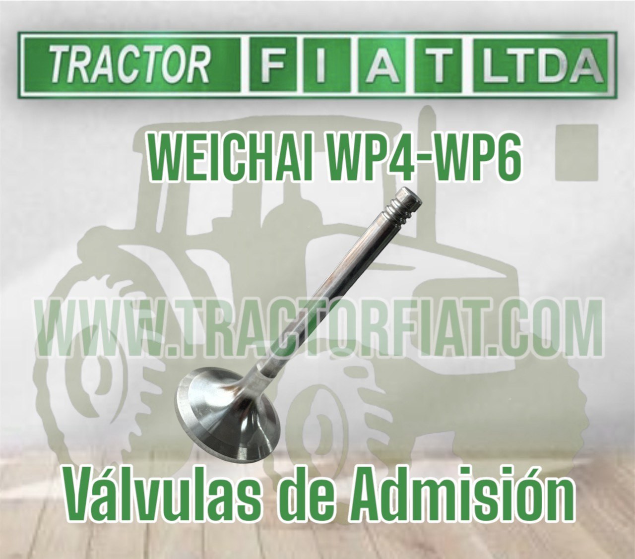 VALVULA DE ADMISION - MOTOR WEICHAI WP4 WP6 TD226B