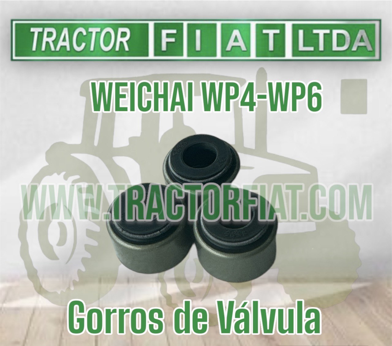 GORROS DE VALVULA - MOTOR WEICHAI WP4 WP6 TD226B